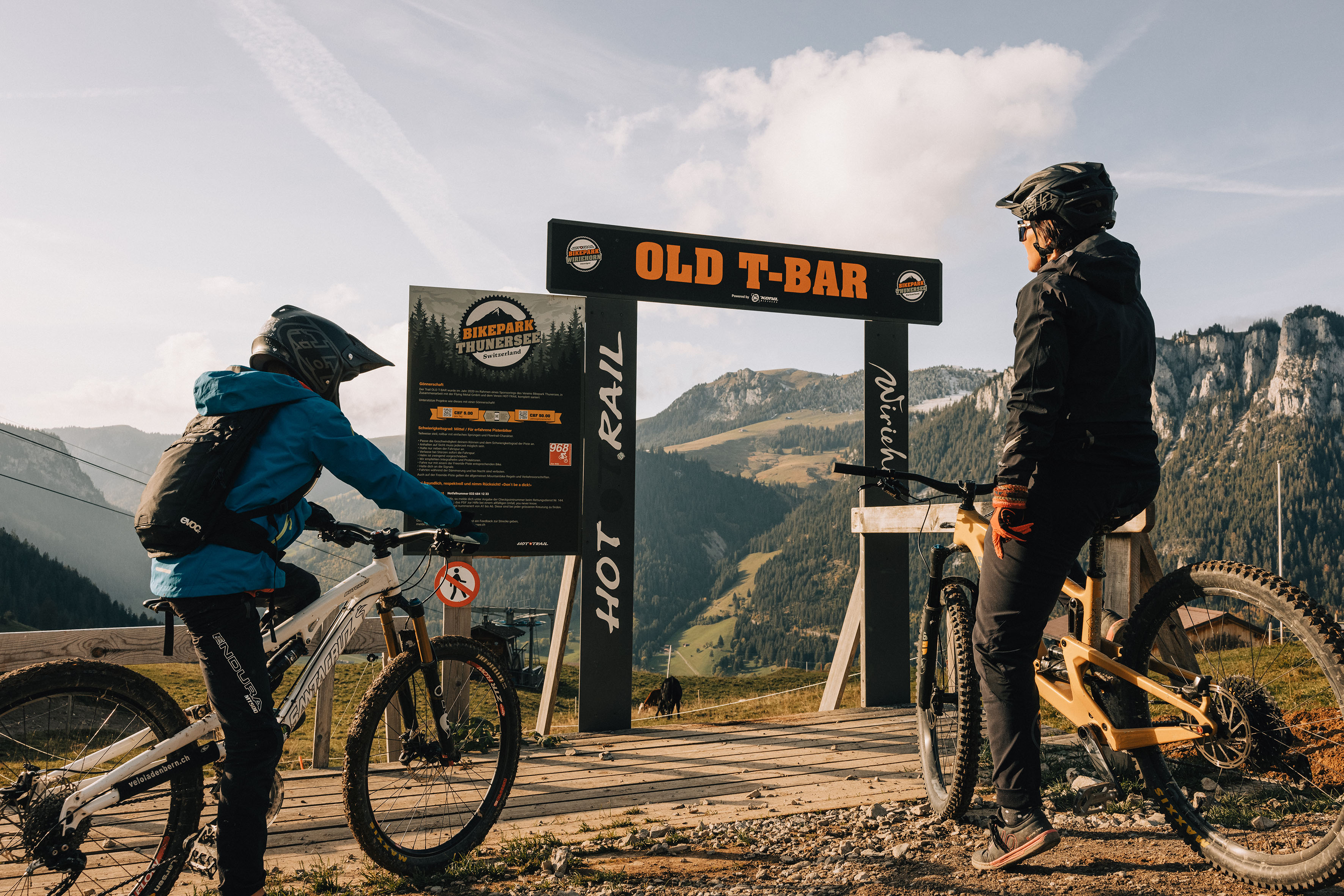 Foto Downhillbiker von hinten - zum Foto