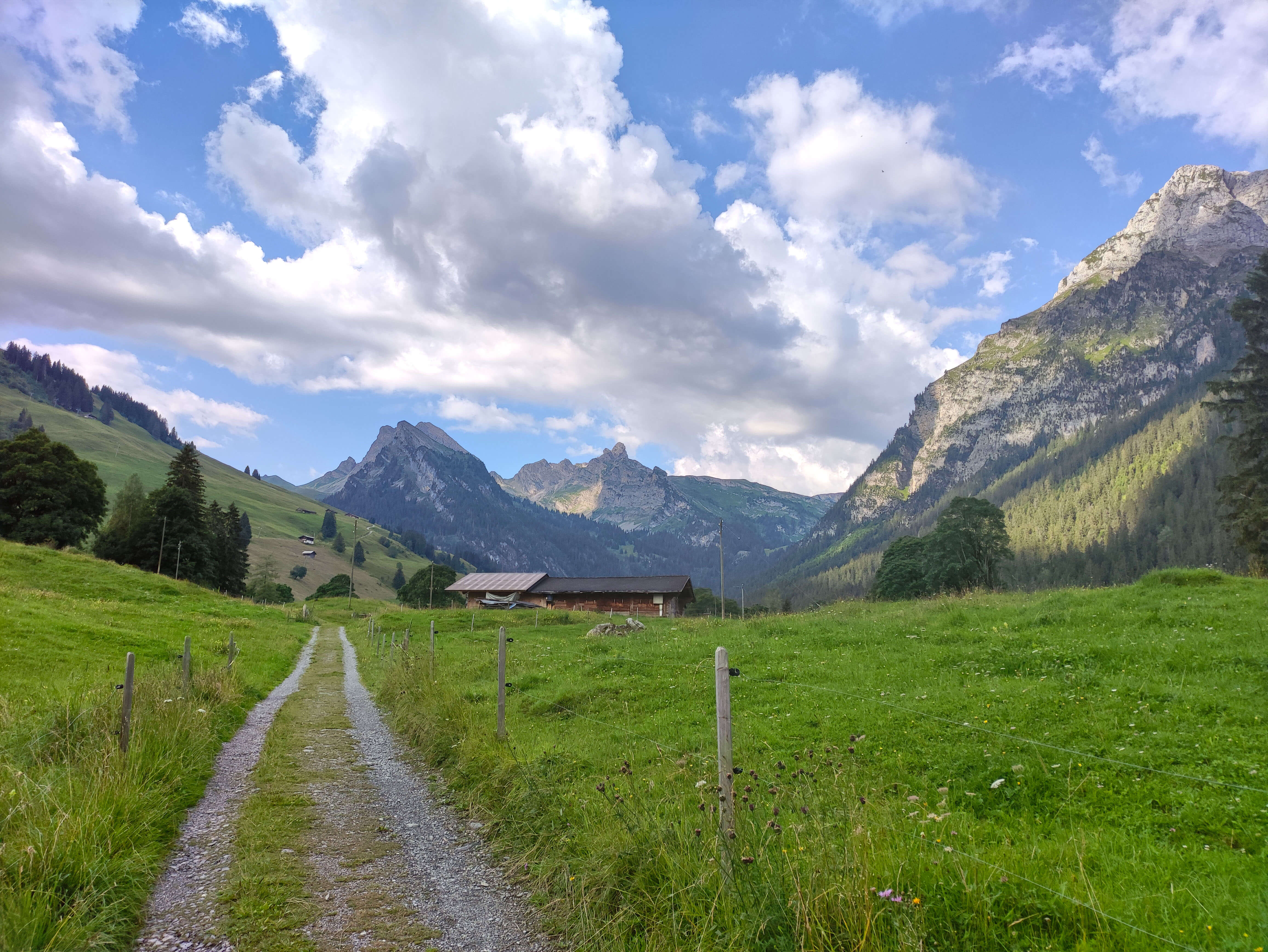Bild Sicht vom Kurhaus Grimmialp in Richtung Talende - zum Bild