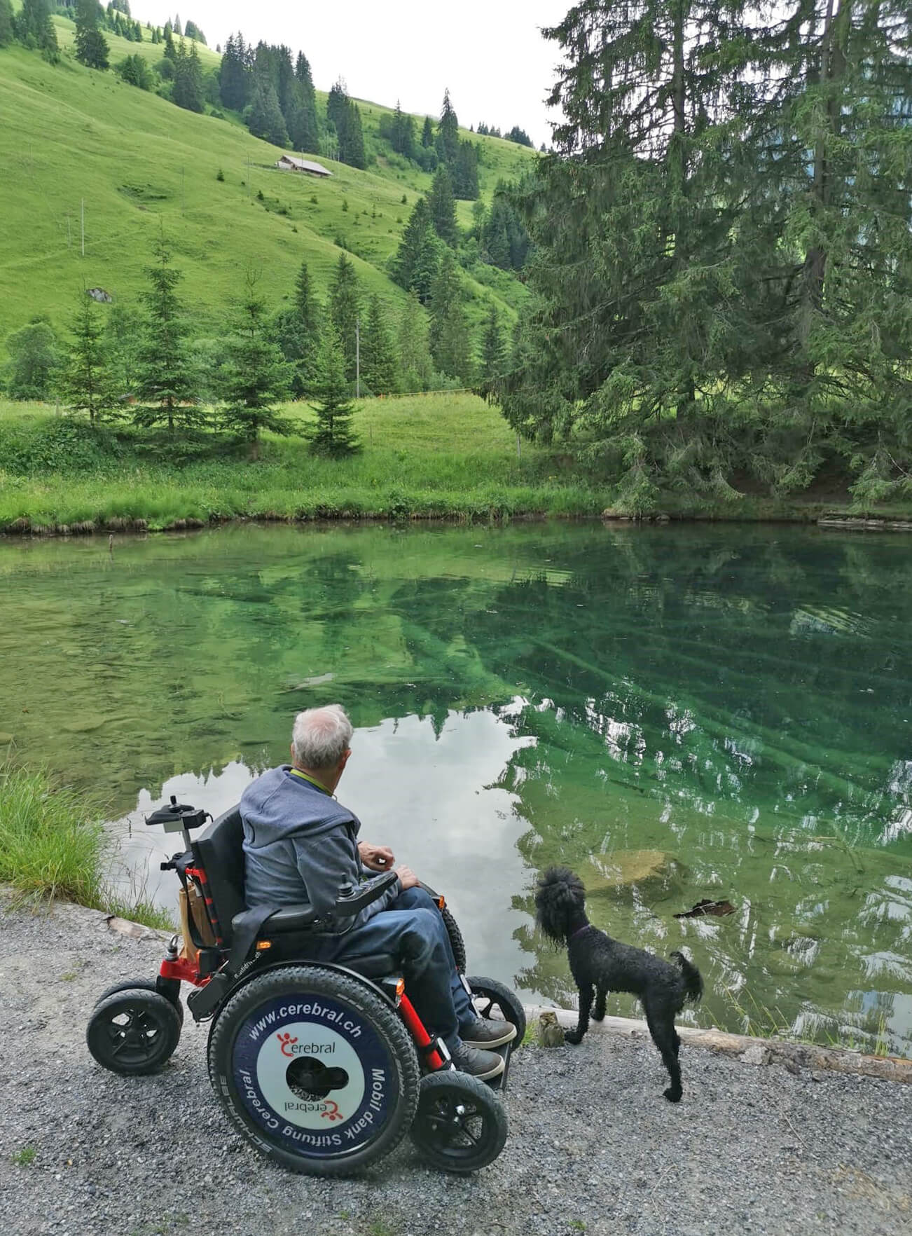 Bild Mann im Rollstuhl am Blauseeli - zum Bild