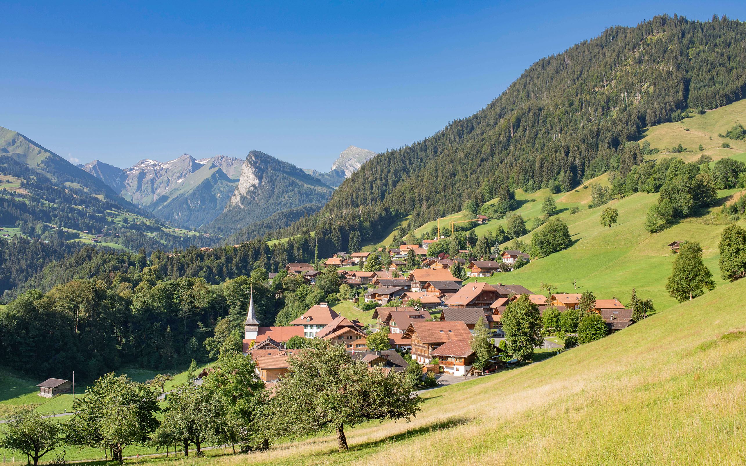 Dorfansicht Diemtigen