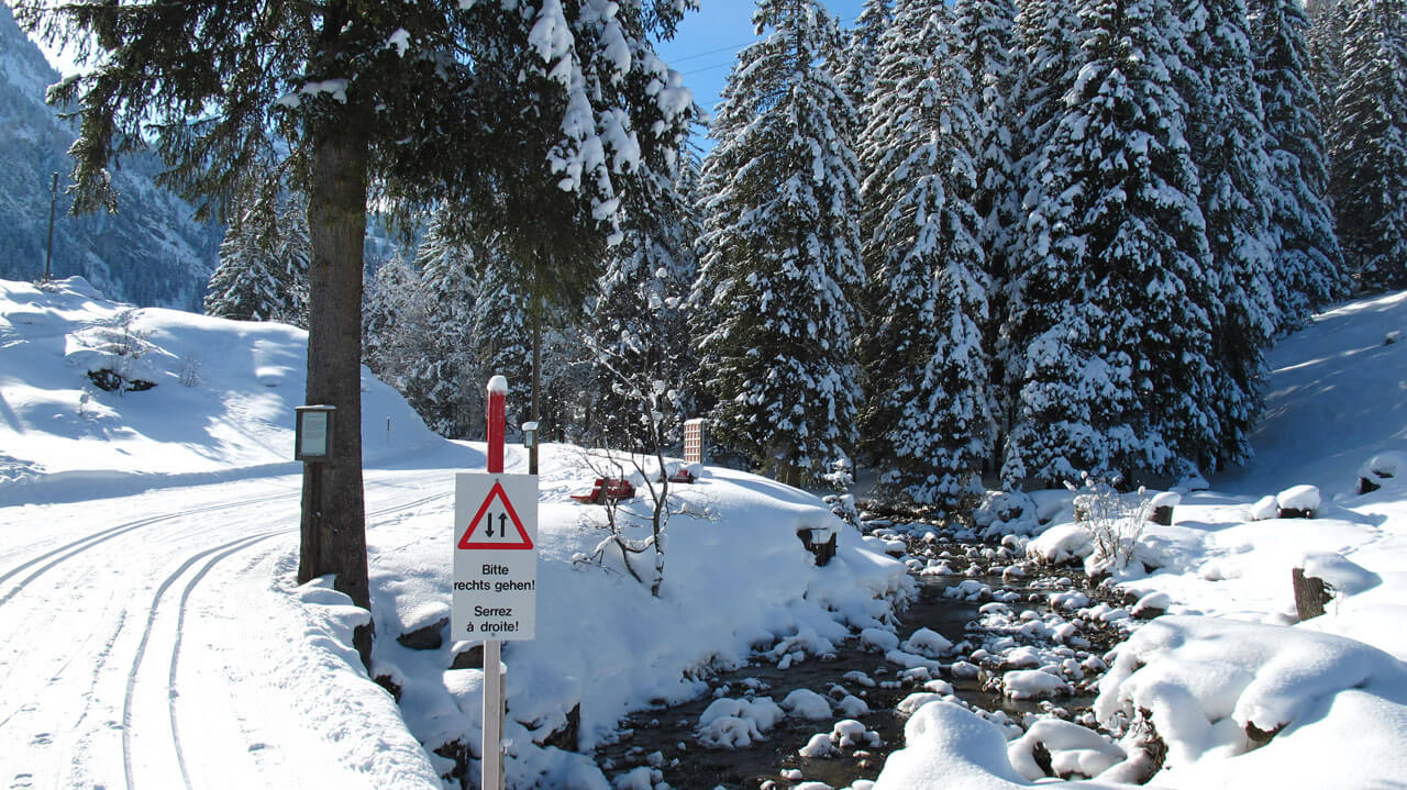 Foto Langlaufloipe im Wald und am Bach - zum Foto