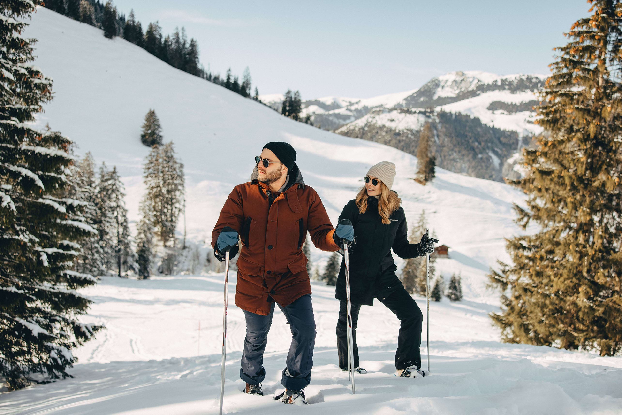 Picture Two snowshoers in the snow - to the picture
