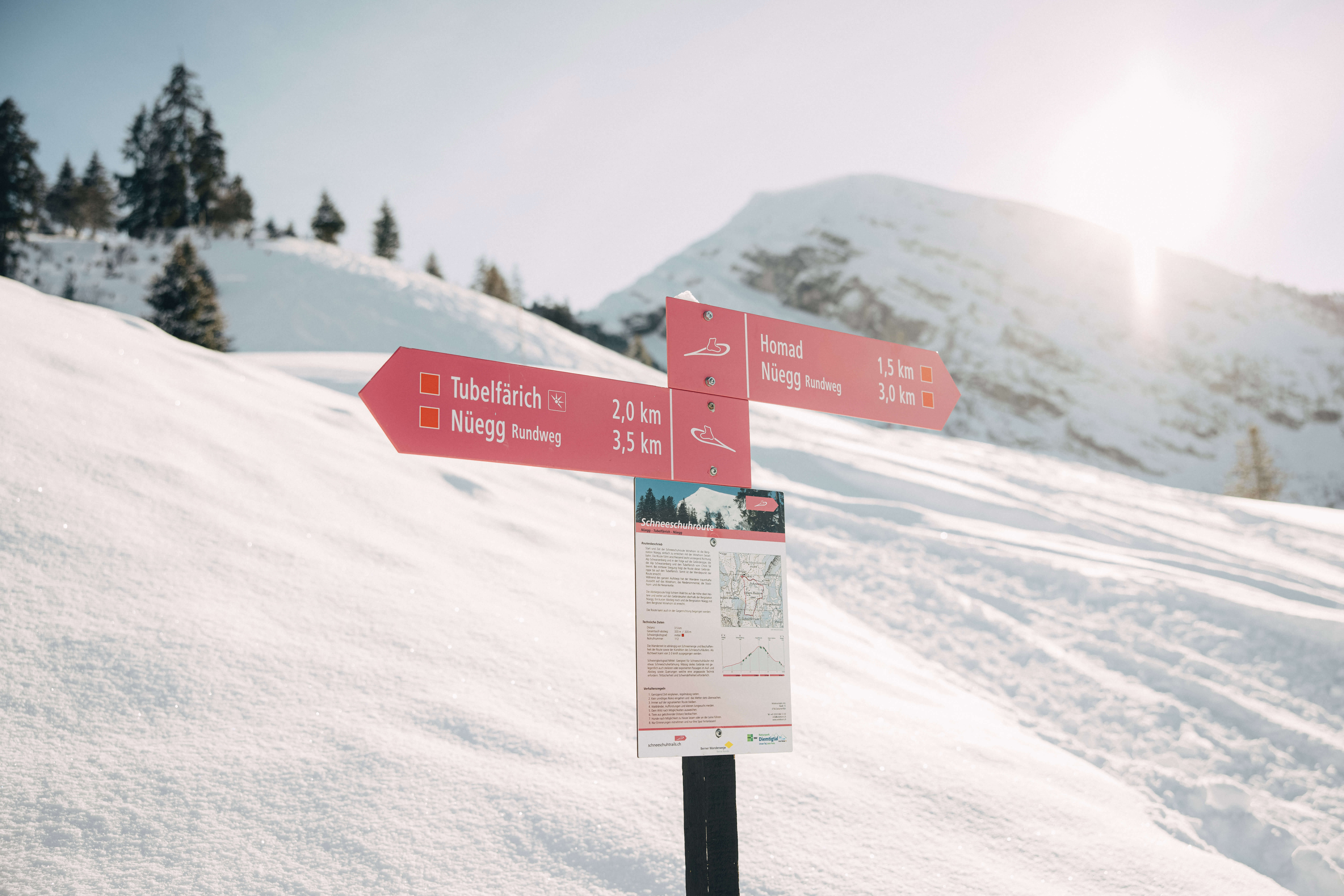 Foto Wegweiser mit Schneeschuhtouren - zum Foto