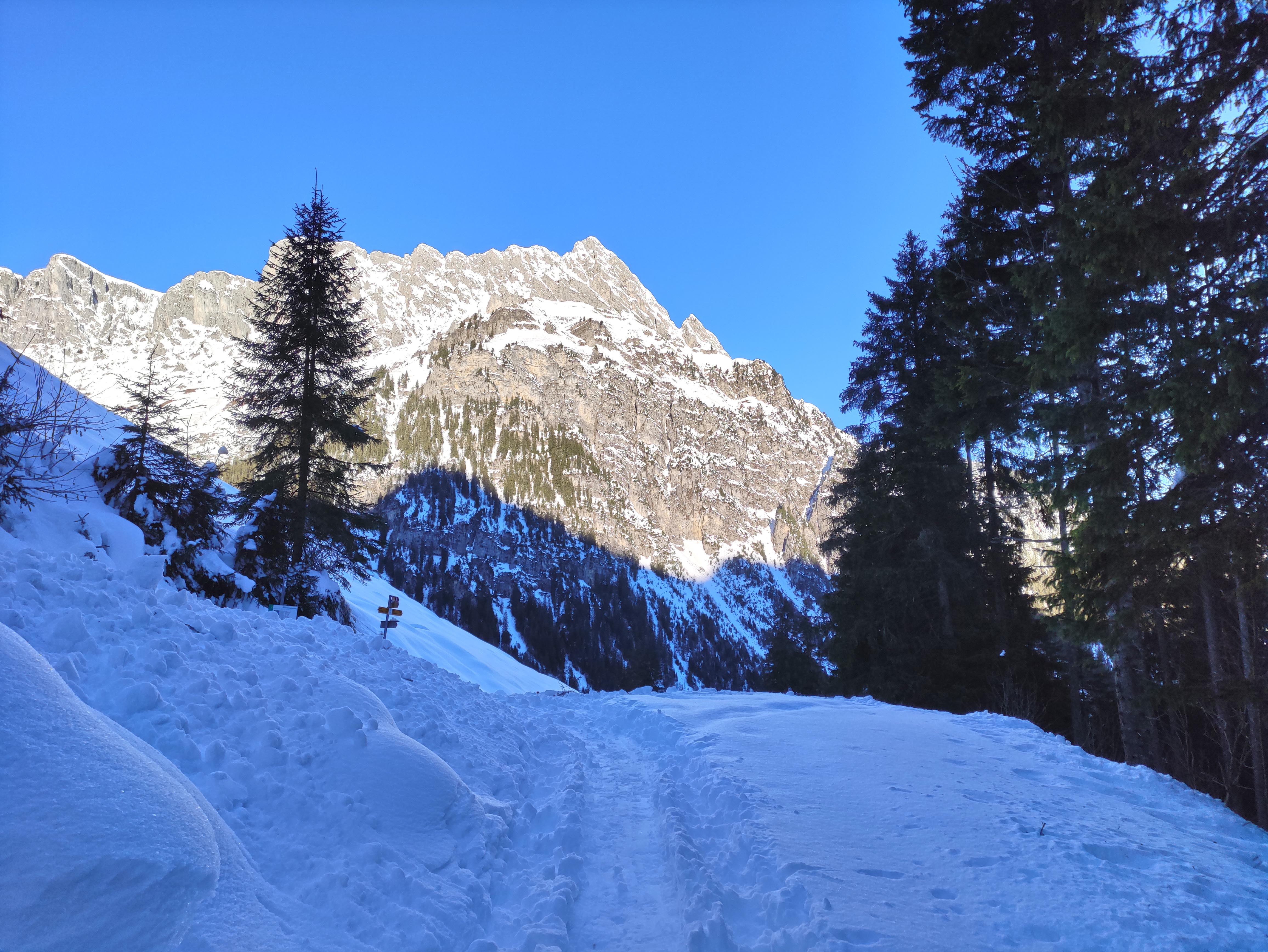 Foto Schneeschuhtrail im Hinteren Diemtigtal - zum Foto