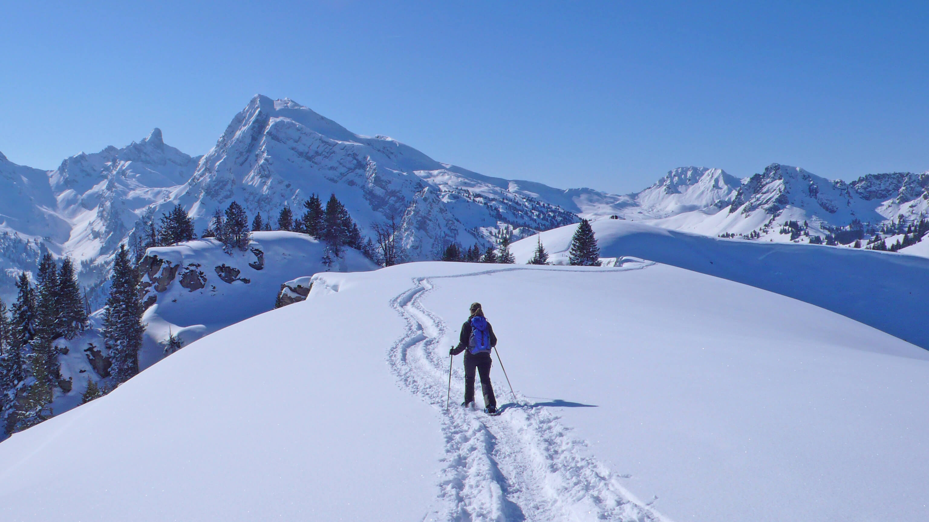 Foto Einzelne Schneeschuhläuferin läuft auf dem Meniggrat - zum Foto