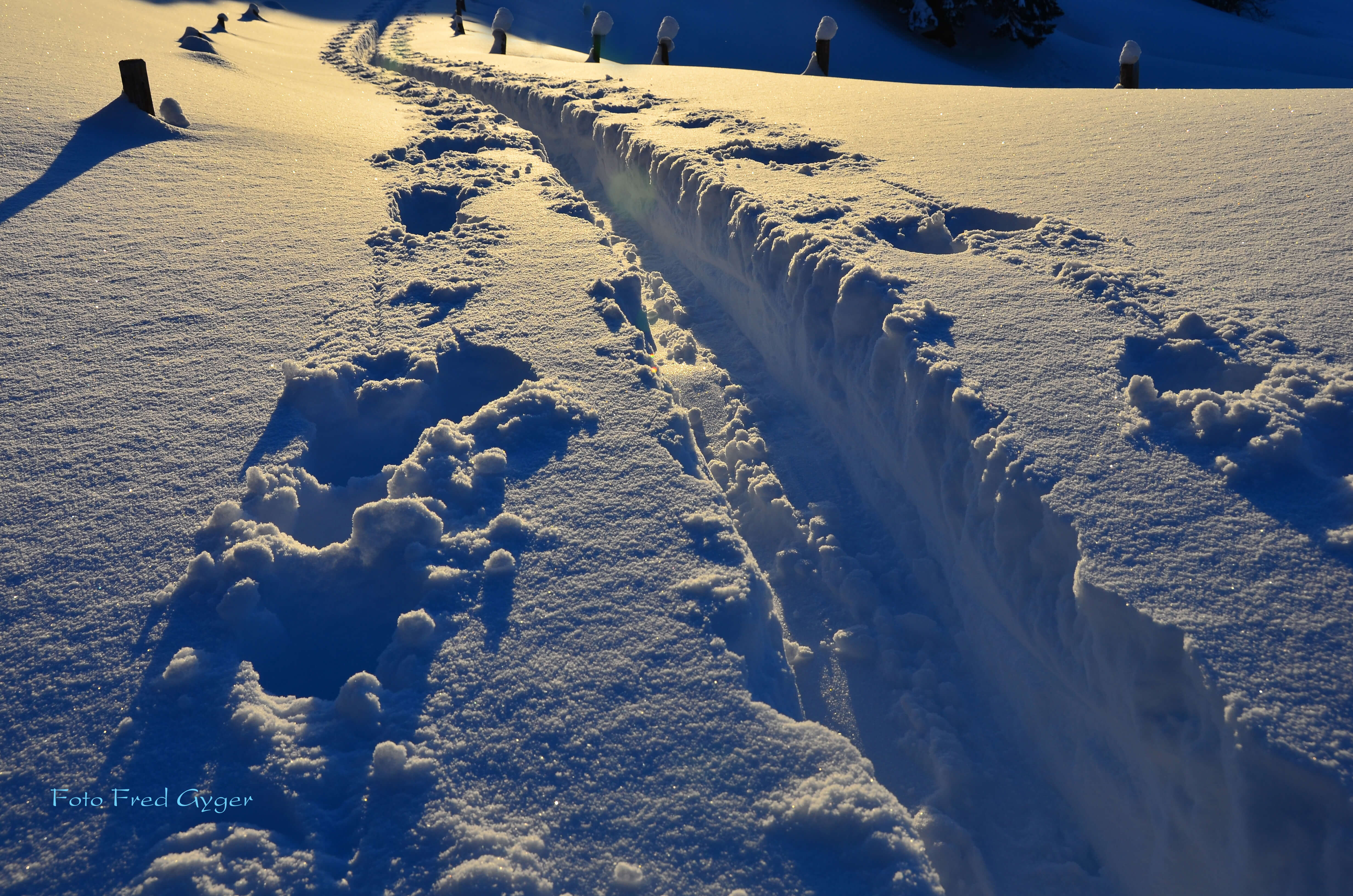 Foto Spuren eines Skitourenläufers im Tiefschnee - zum Foto