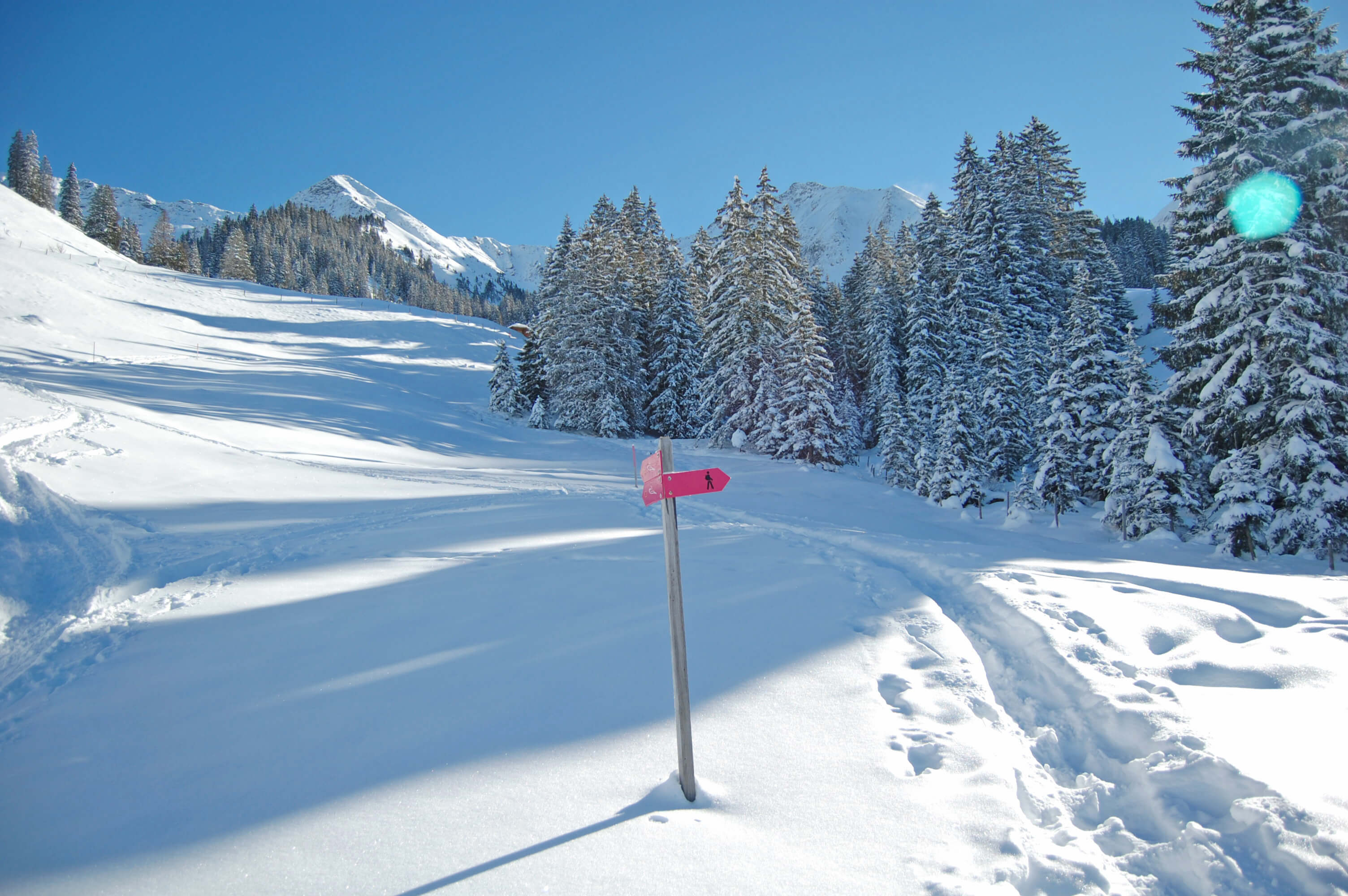 Photo Sentier raquettes avec indicateur de direction rose - voir la photo