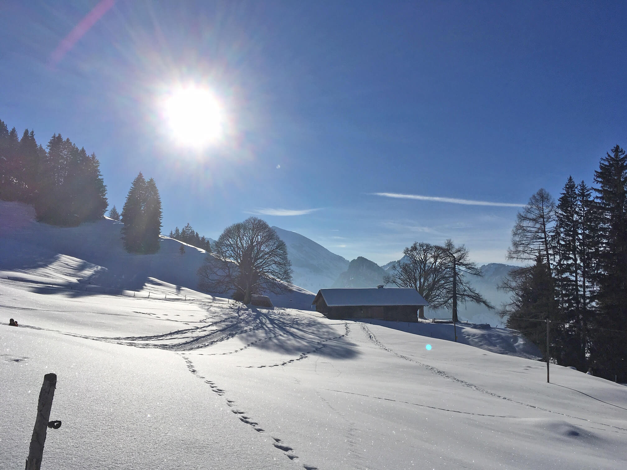 Photo Paysage hivernal sur Springenboden - voir la photo