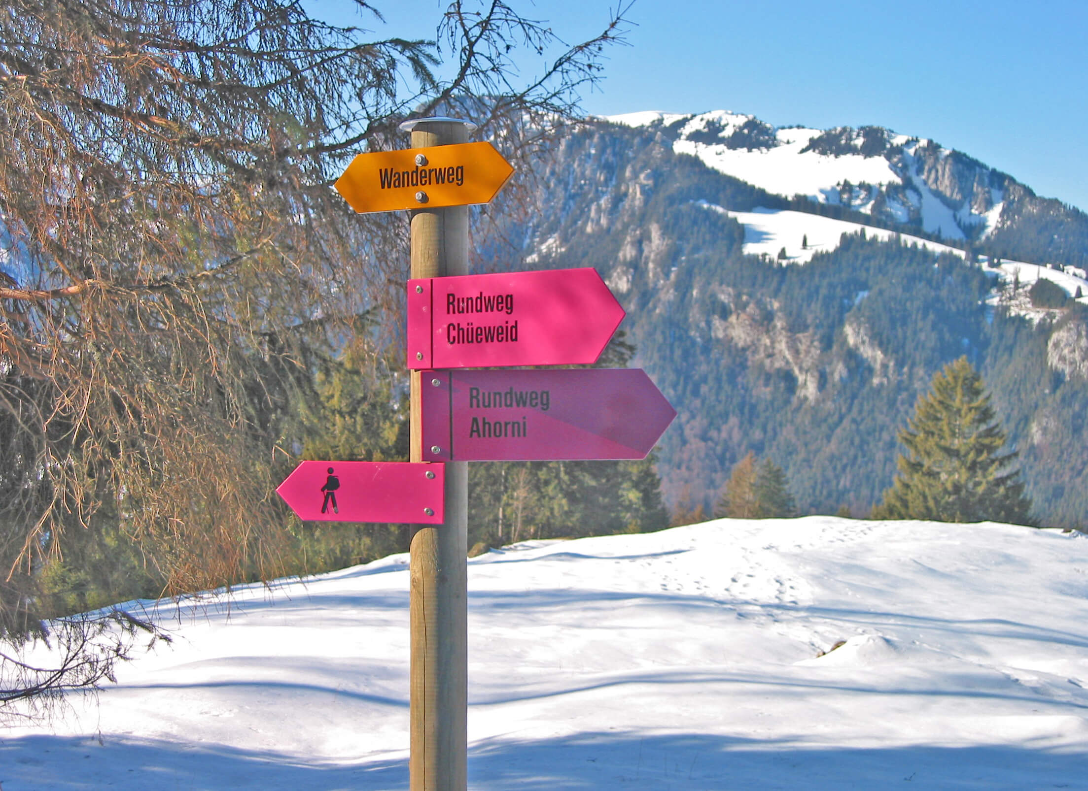 Foto Winterwegweiser mit pinken Richtungszeigern - zum Foto
