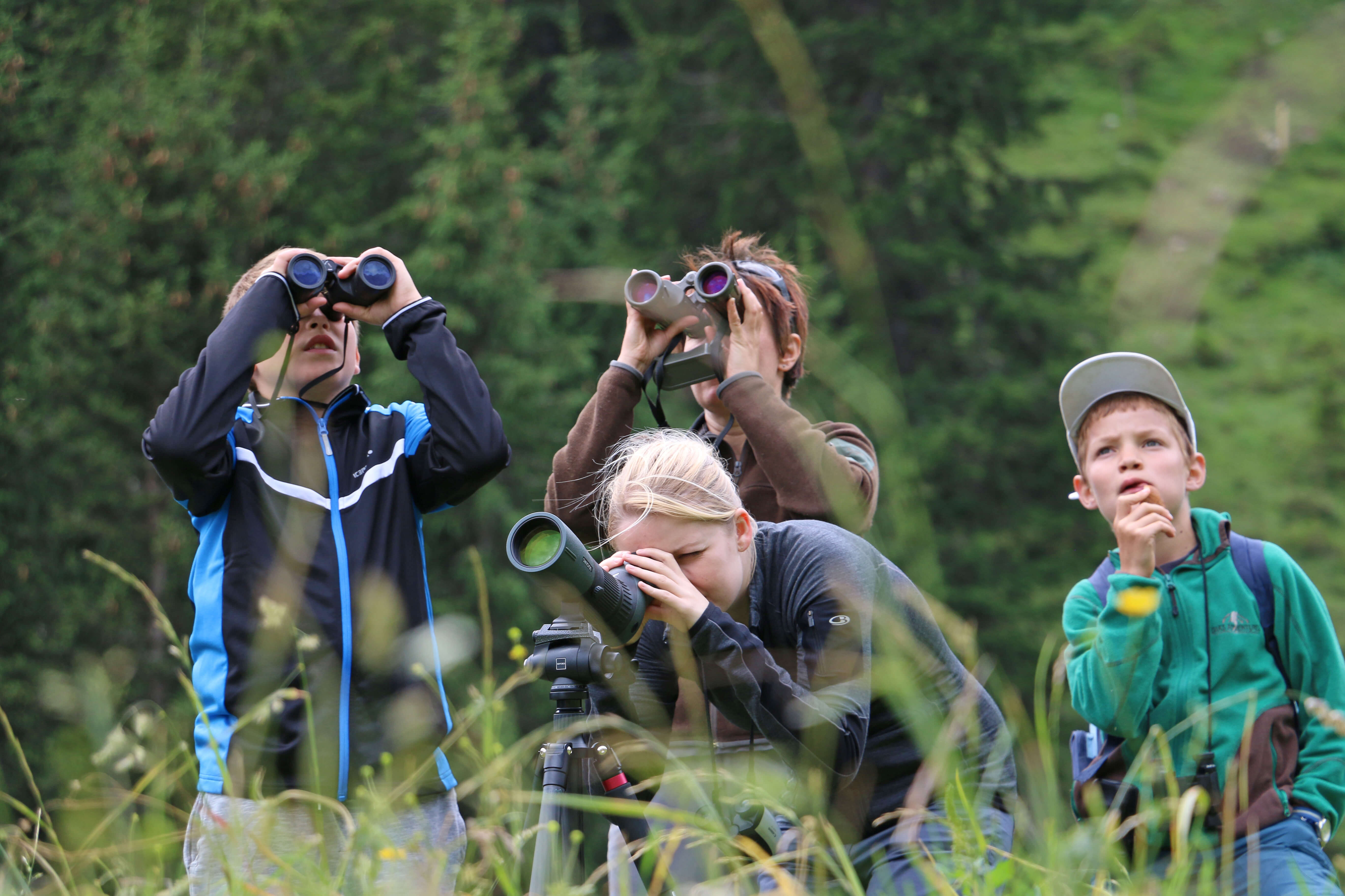 Foto eine Gruppe beobachtet Wildtiere durch Ferngläser - zum Foto