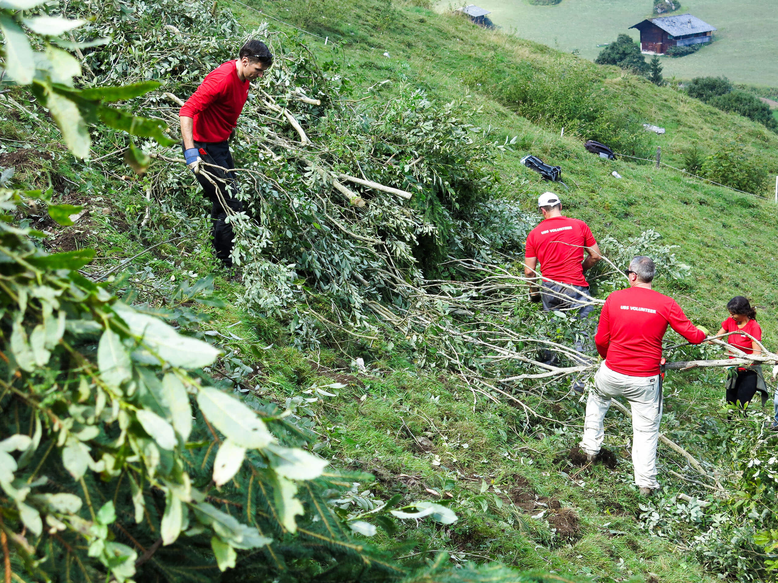 Drei Menschen mit roten T-Shirts schleppen Äste eine Bergwiese hinunter