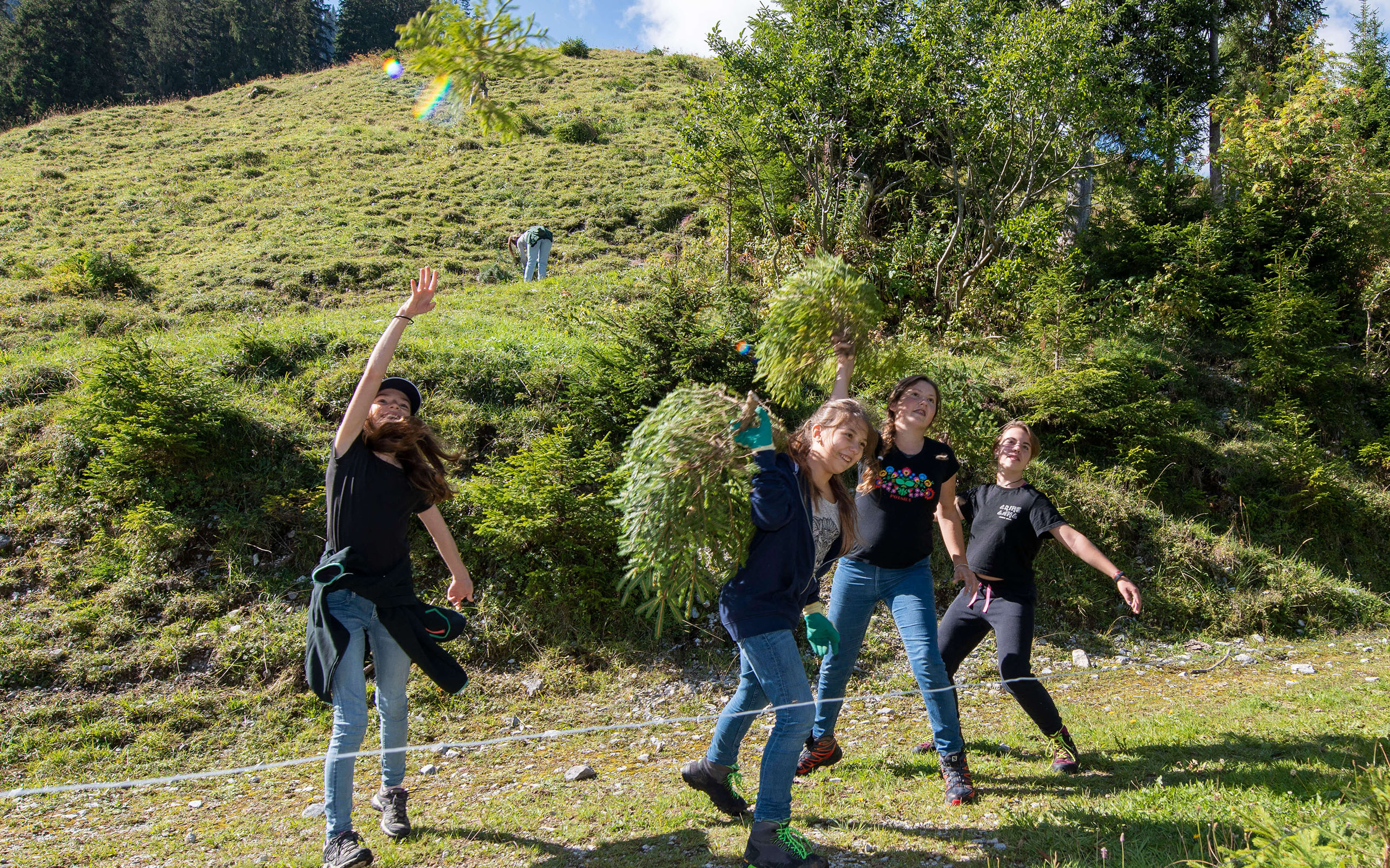 Foto Schüler werfen übermütig Jungfichten in die Luft - zum Foto