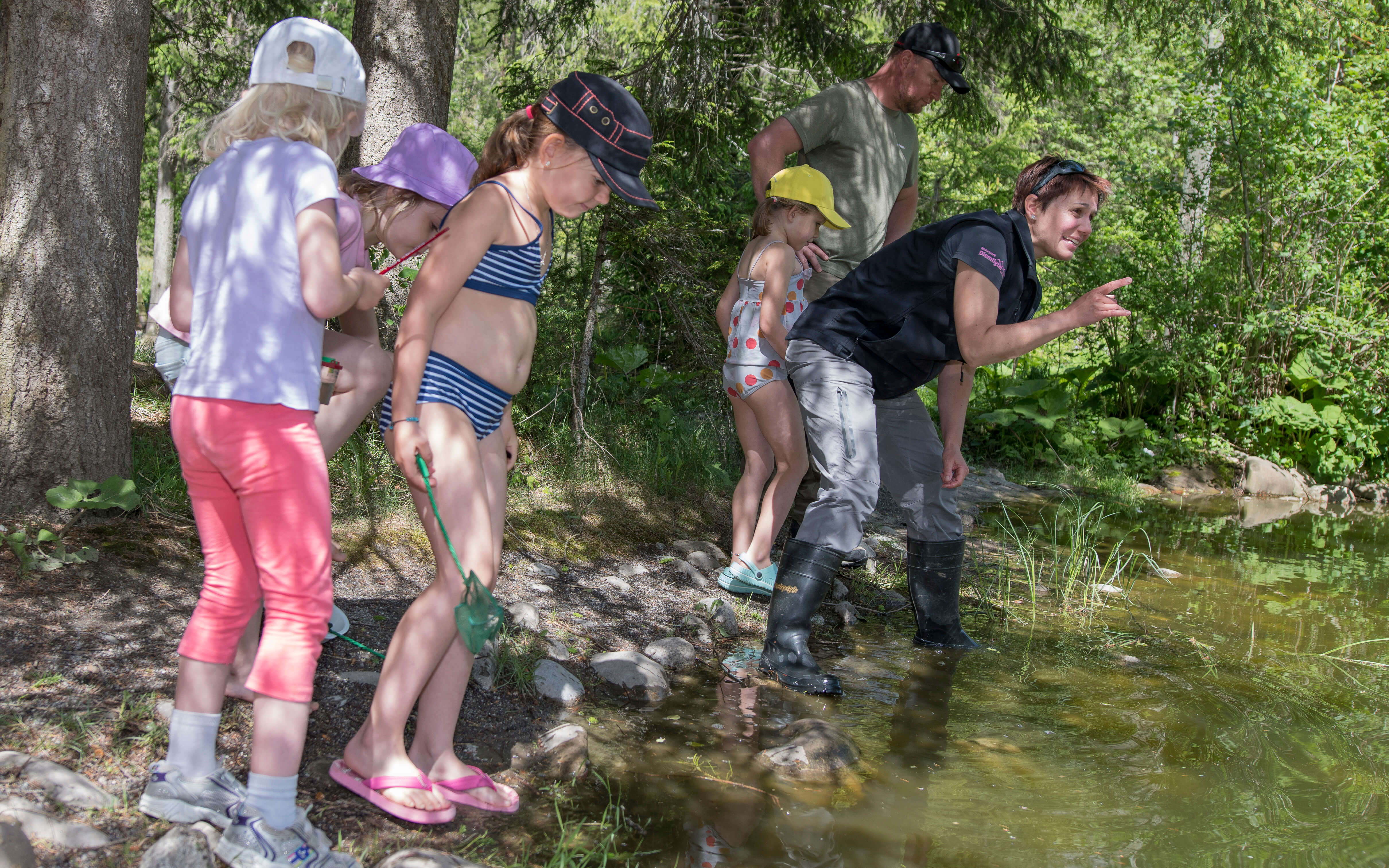 Foto Kinder untersuchen einen Teich auf Lebewesen - zum Foto