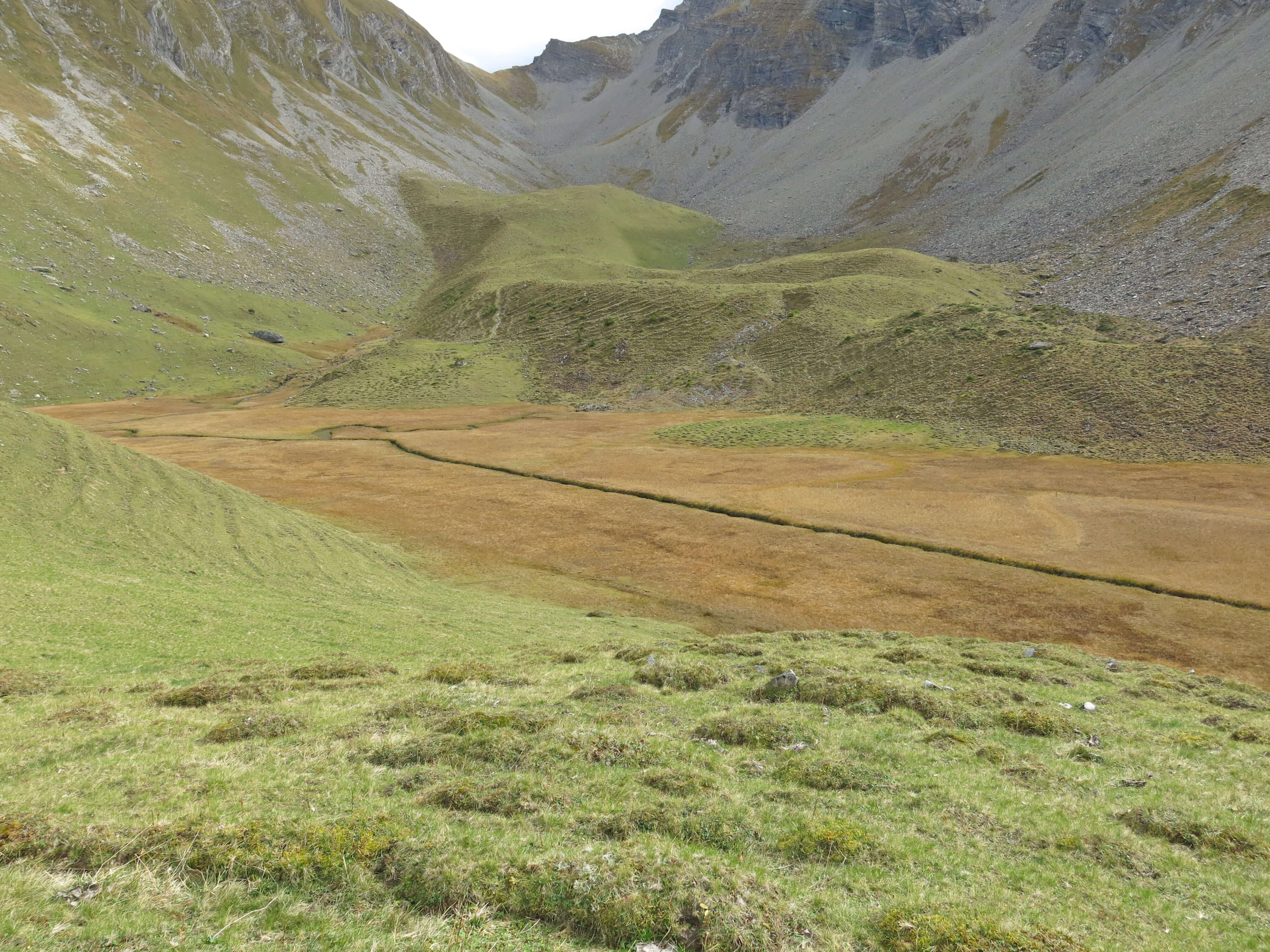 Foto ein kleiner Bach schlängelt sich durch das Flachmoor oberste Gurbs - zum Foto