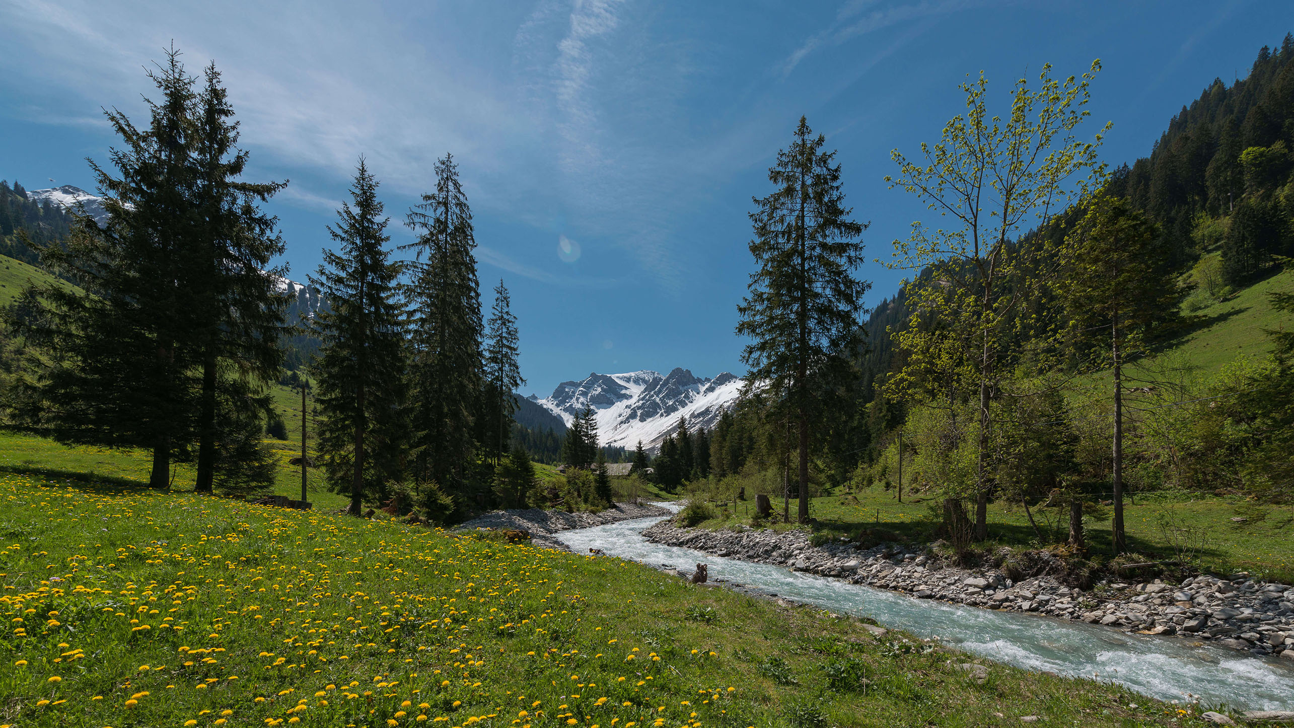 Picture Stream and flower meadows - to the picture