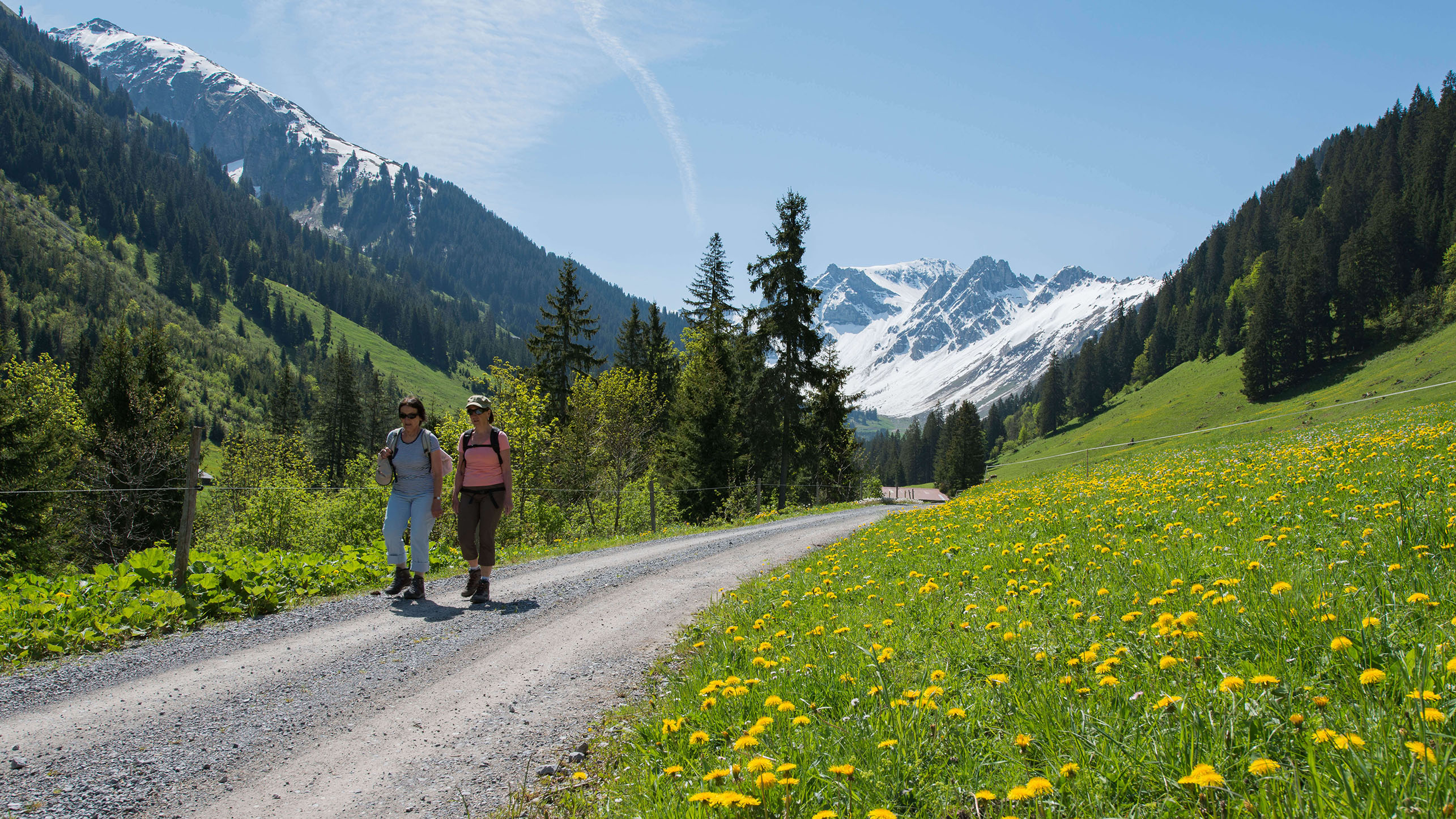 Picture Two women are hiking along the path - to the picture