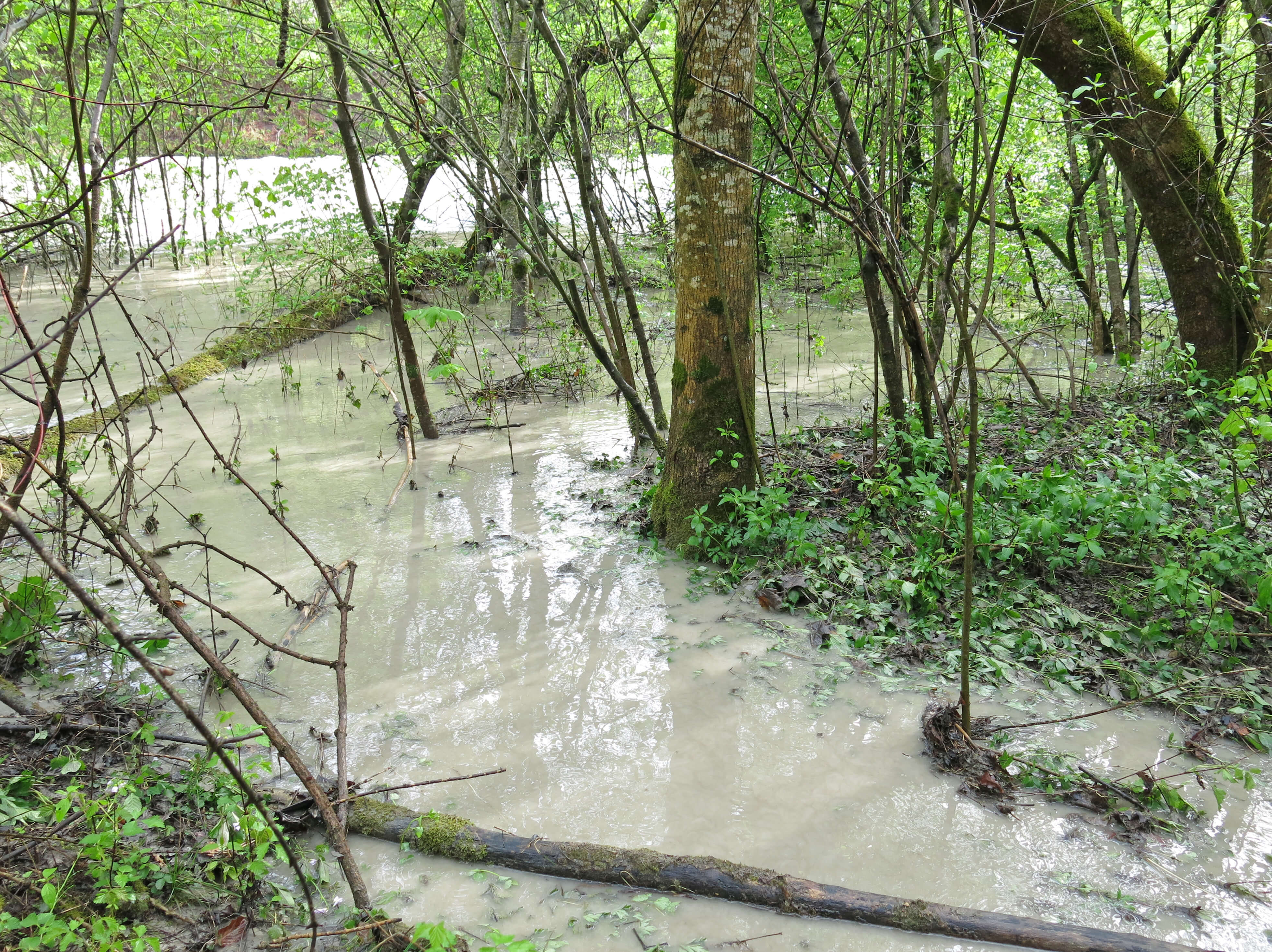 Überschwemmung in der Wilerau.