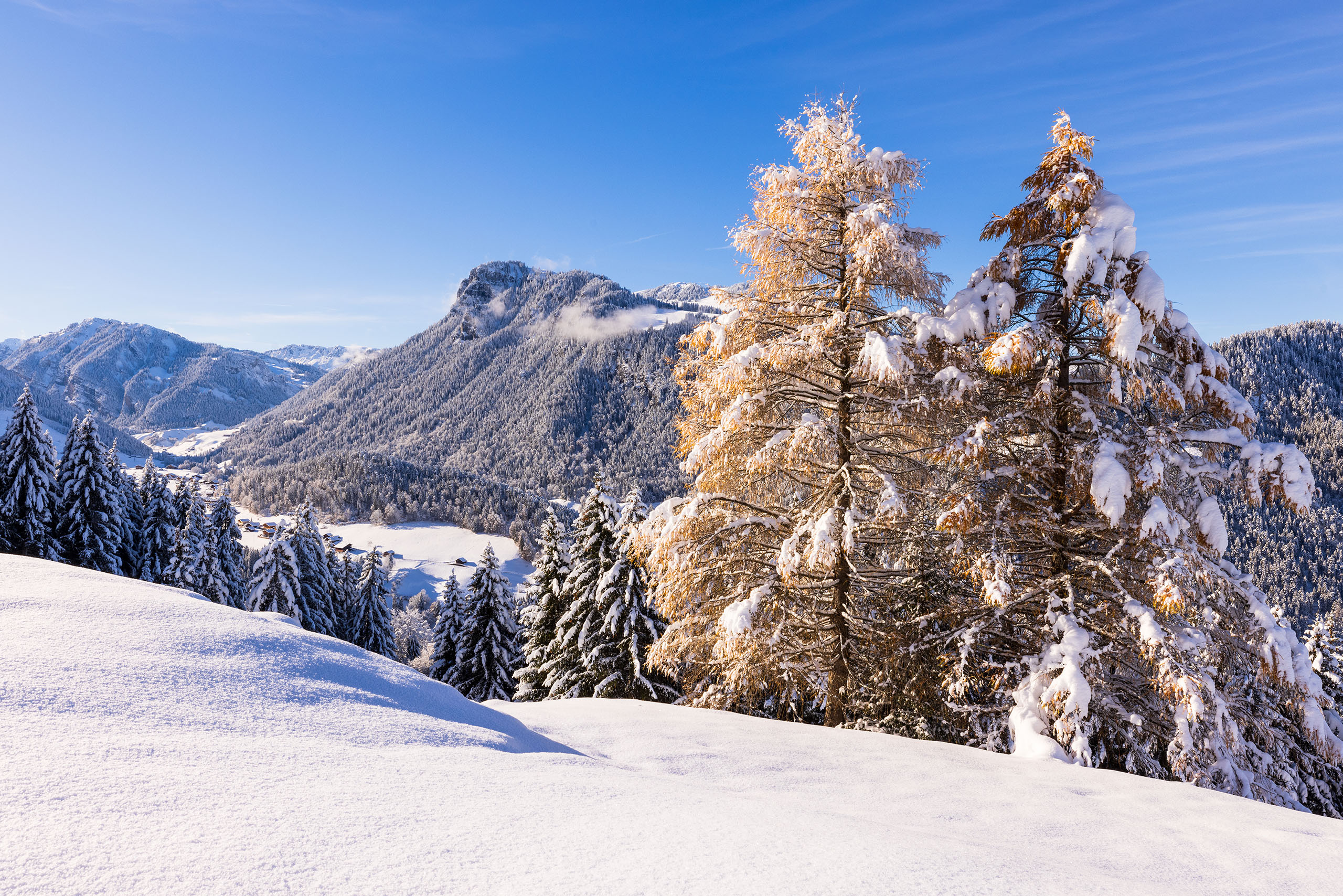 Weitsicht ab Springenboden - zum Foto
