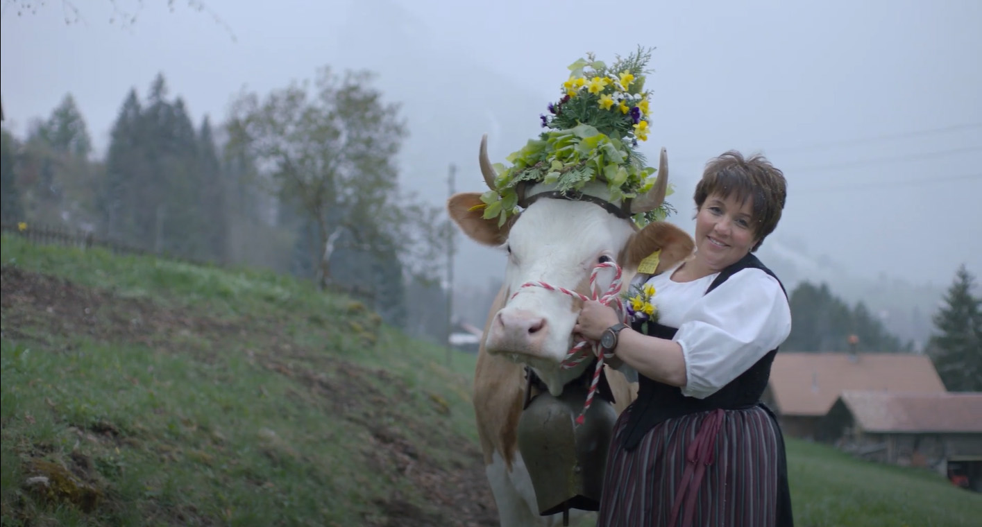 Kuh mit Kopfschmuck neben Bäuerin in der Simmentaler Tracht