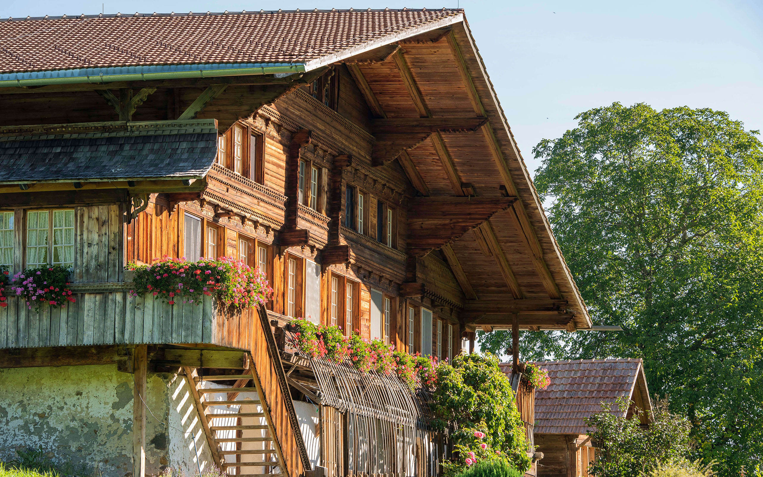 Foto Haus auf dem vorderen Bergli - zum Foto
