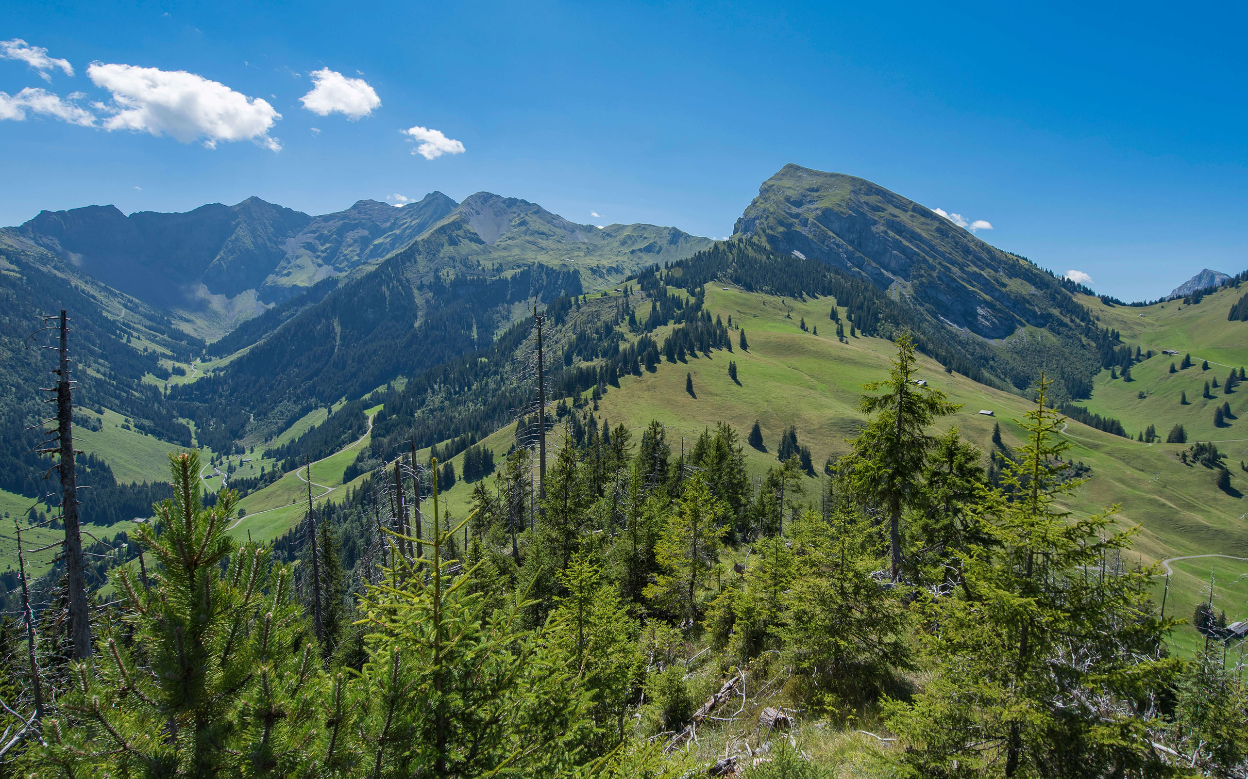 Weitblick über das Diemtigtal - zum Foto
