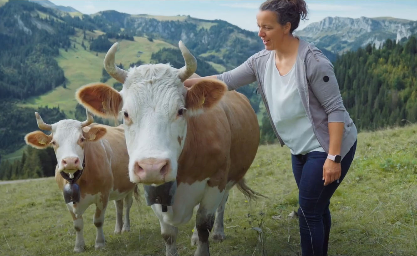 Frau streichelt Kuh