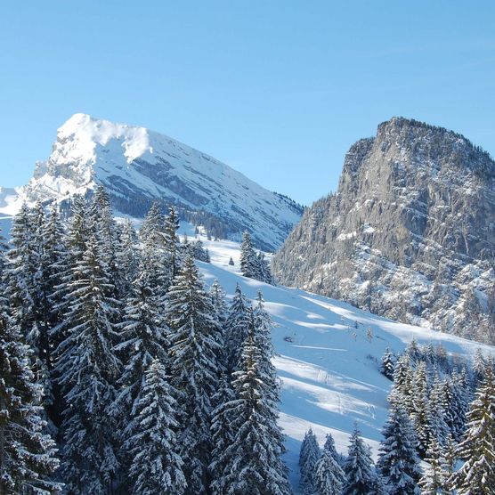 Picture Peaks of the Wiriehorn and Schwarzenberg - to the picture