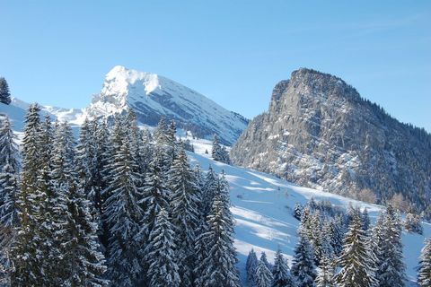 Gipfel von Wiriehorn und Schwarzenberg