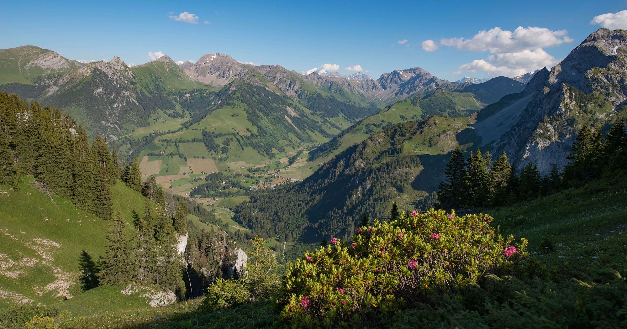 naturpark-diemtigtal-erlebnisse-im-sommer