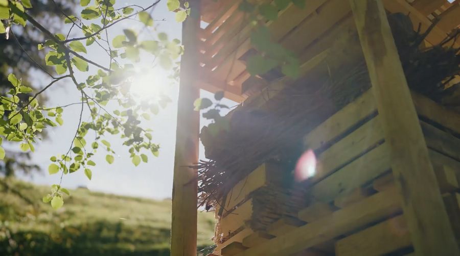 Vorschaubild für den AXA-Film Lebensturm Teile eines Holzturms. Die Sonne scheint