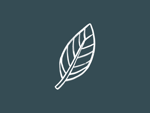 Symbol Natur als Lebensgrundlage - zum Symbol