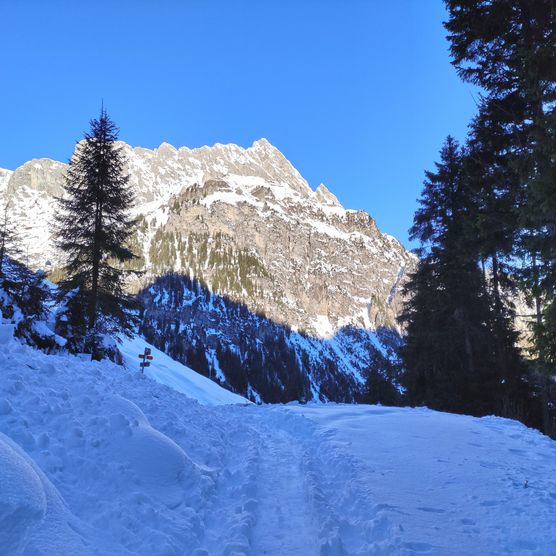 Foto Schneeschuhtrail im Hinteren Diemtigtal - zum Foto