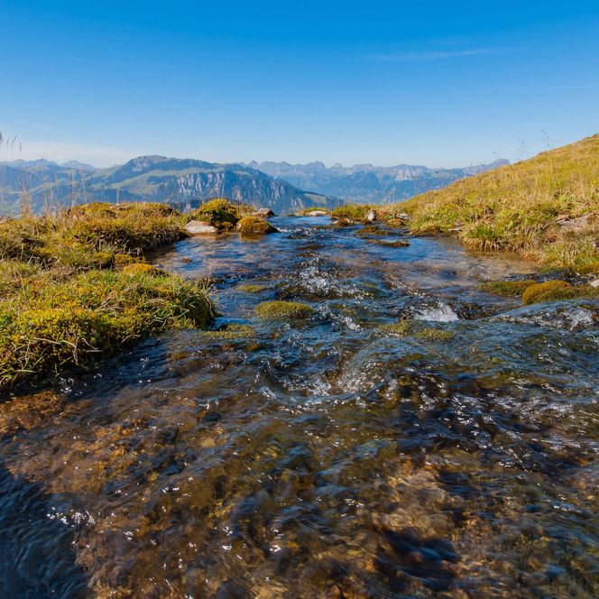 Foto Bach im Vordergrund und Berggipfel im Hintergrund - zum Foto