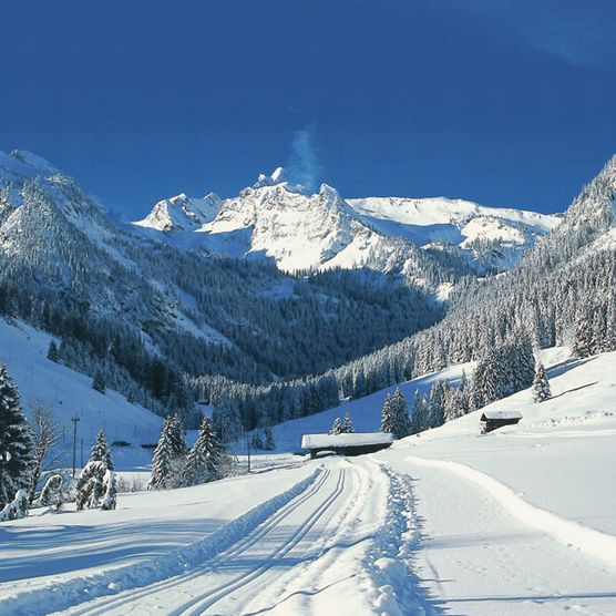Photo Piste de ski de fond avec Spillgerten en arrière-plan - voir la photo