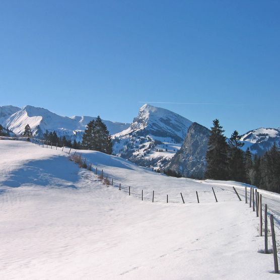 Foto Panoramasicht vom Winterwanderweg Springenboden - zum Foto