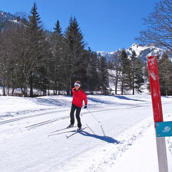 Photo Le skieur de fond se présente en style de skating - voir la photo