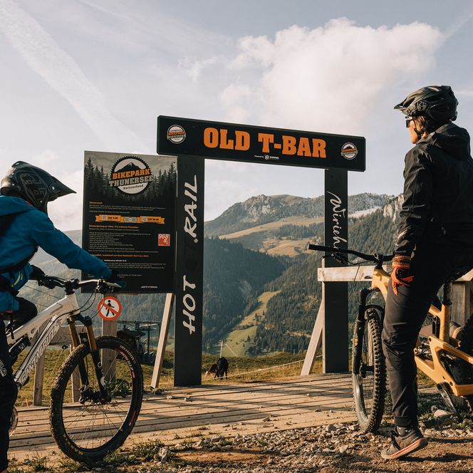 Foto Downhillbiker von hinten - zum Foto