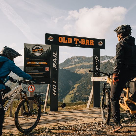 Foto Downhillbiker von hinten - zum Foto