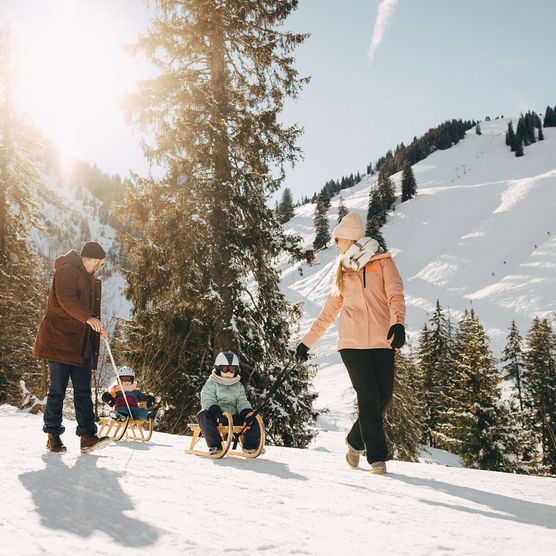 Picture Two adults pulling a sledge with children - to the picture