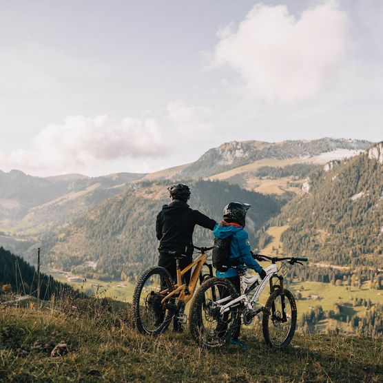 Foto Downhillbiker fährt von rechts nach links - zum Foto