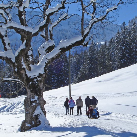 Foto Winterwanderer unterwegs, im Vordergrund ein verschneiter Bergahorn - zum Foto