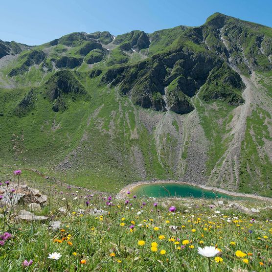 Photo Vue en bas de la montagne vers le petit lac Meienfallseeli - vers la photo