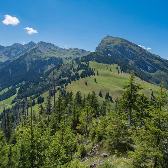 Weitblick über das Diemtigtal - zum Foto