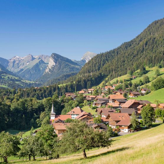 Foto Dorfansicht Diemtigen mit Bergkulisse im Hintergrund - zum Foto