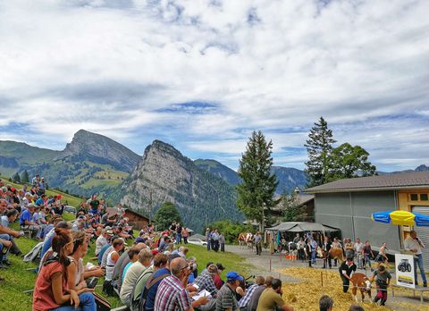 Das Publikum sitzt auf Holzbänken rund um den Sägemehlkreis. Im Hintergrund das beeindruckende Bergpanorama.