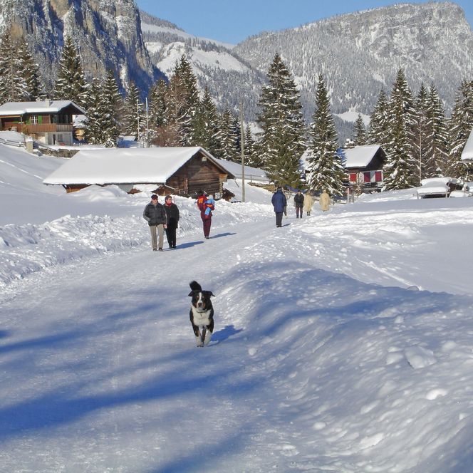 Foto Wanderer mit Hund auf dem Winterwanderweg - zum Foto