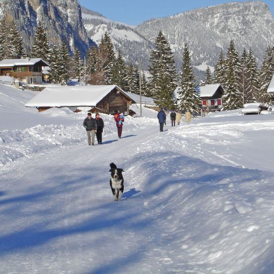 Foto Wanderer mit Hund auf dem Winterwanderweg - zum Foto