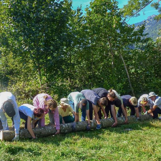 Foto Eine Gruppe Menschen hebt einen Baumstamm an - zum Foto