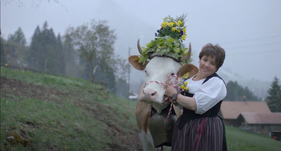 Kuh mit Kopfschmuck neben Bäuerin in der Simmentaler Tracht