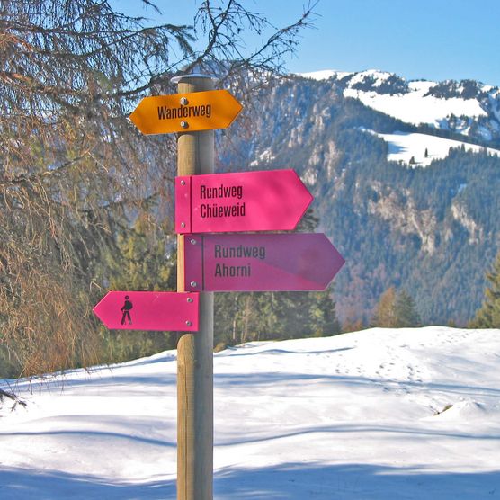 Foto Winterwegweiser mit pinken Richtungszeigern - zum Foto